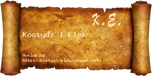 Kostyál Elek névjegykártya